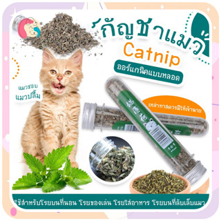 🐱พร้อมส่ง แคทนิป Catnip ออร์แกนิคแบบหลอด แคทนิปแมว ออร์แกนิคแบบหลอด ช่วยผ่อนคลายให้น้องแมว คลายเครียดน้องแมว