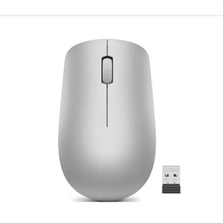 Lenovo 530 (GY50Z18984) Wireless Mouse(Platinum Grey)