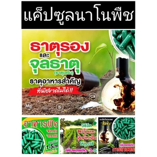 💥50เม็ด159🌾50เม็ด159🌱เขียวนาโนแคปซูลพืช🌿50เม็ด159.-🌿ราคาส่งจากโรงงาน🌾🌱💥