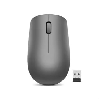 Lenovo 530 (GY50Z49089) Wireless Mouse (Graphite)