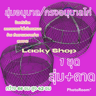 สุ่มพร้อมถาด อนุบาลไก่แรกเกิด 1 ชุด สุ่มพร้อมถาด กว้าง 66 ซม สูง 42 ซม