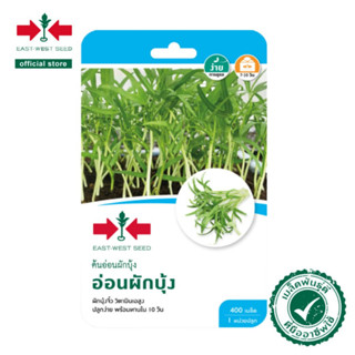 ศรแดง เมล็ดพันธุ์ต้นอ่อนผักบุ้ง อ่อนผักบุ้ง  (East-West Seed) เมล็ดพันธุ์ ผักสวนครัว ตราศรแดง