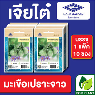 เมล็ดพันธุ์ ผักซอง มะเขือเปราะจาว ตราเจียไต๋ บรรจุแพ็คล่ะ 10 ซอง ราคา 70 บาท