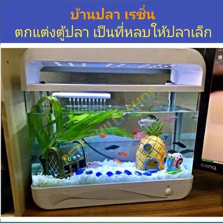 บ้านปลา Rasin aquarium decoration