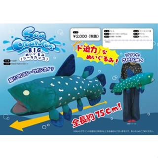 [ชิ้นนีส่งปณ.ไทยเท่านั้น] ตุ๊กตาปลาซีลาแคนท์ (Coelacanth) ซีลาแคนท์ ปลาดึกดำบรรพ์ซีลาแคนท์  Big Soft Toy Coelacanth