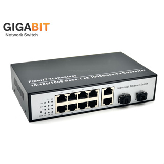 Gigabit Network Switch 8 Port + 2GE + 2 SFP