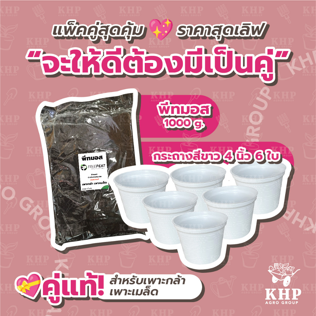 แพ็คคู่ กระถ่างต้นไม้ 6 ใบ (สีขาว 4 นิ้ว) + วัสดุเพาะ ฟรีพีท 1 กิโลกรัม