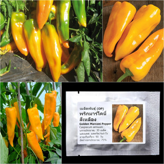 เมล็ดพันธุ์ พริกมาร์โคนี่ สีเหลือง Golden Marconi Pepper Seed 30 เมล็ด คุณภาพดี ของแท้ 100%