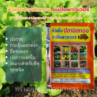 หัวเชื้อปลานิลทอง อะมิโนพาวเวอร์ ขนาด 30 กรัม เร่งราก ใบเขียวเข้ม สะสมอาหาร สมบูรณ์แข็งแรง พ่นได้ทุกระยะ ใช้ได้กับพืชทุก