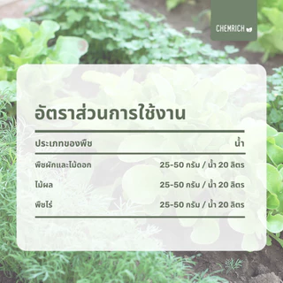 500G/1KG โมโนโพแทสเซียมฟอสเฟต (0-52-34) ปุ๋ย MKP / Monopotassium phosphate (0-52-34) - Chemrich