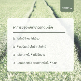 500G/1KG ผงจุลธาตุเหล็ก 19.7% เฟอรัสซัลเฟต (จุลธาตุเหล็ก) สนิมเหล็ก / Ferrous sulfate heptahydrate - Chemrich