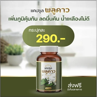 พลูคาวแคปซูล🌿 ผลิตภัณฑ์สมุนไพรดูแลผิวหนัง เสริมภูมิคุ้มกัน ลดคัน