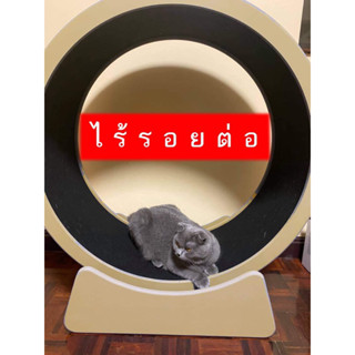 😺ลู่วิ่งแมว 79 cm😺ไร้รอยต่อ ของแท้*ลู่วิ่งแมวออกกำลังกาย😺catwheel😺