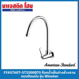 American Standard FFAST607-5T1500BT0 ก๊อกน้ำเย็นอ่างล้างจานแบบติดผนัง รุ่น Winston