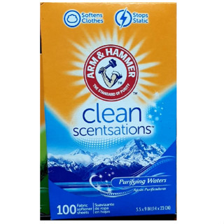 Arm &amp; Hammer Fabric Softener Sheets Classic 100sheets