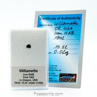 อุกกาบาต เหล็ก  Willamette Meteorite ชนิด Medium Octahedrite ชิ้นเล็ก พร้อมใบรับรอง จาก Germany #2 หนัก 0.02 กรัม