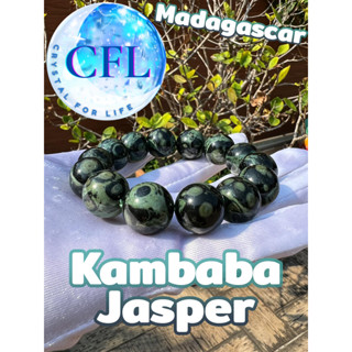 Kambaba / Crocodile Jasper กำไลหินแท้เคมบาบาแจสเปอร์ แจสเปอร์จระเข้ สีเขียว ขนาดเม็ดหิน(16-16.5 มม.) หินแห่งความกล้าหาญ