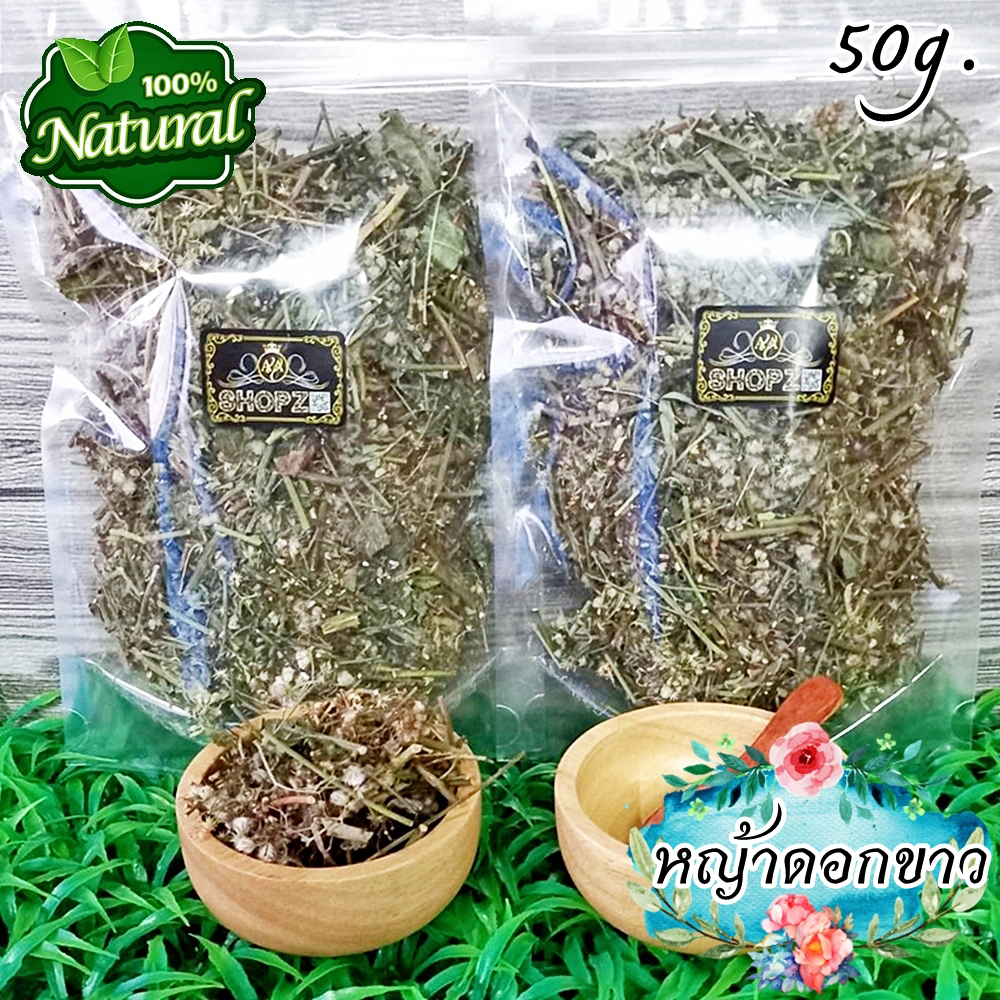 ชาสมุนไพร ชาหญ้าดอกขาว หญ้าดอกขาวอบแห้ง ขนาด 50 กรัม Dried Little Ironweed