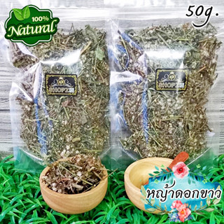 🌿ชาสมุนไพร🌿 ชาหญ้าดอกขาว หญ้าดอกขาวอบแห้ง ขนาด 50 กรัม Dried Little Ironweed