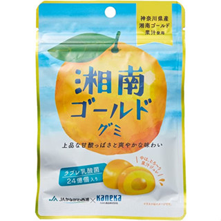 Kaneka Foods Shonan Gold Gummy พร้อมแลคโตบาซิลลัส เบรวิส 40 กรัม X 10 ถุง ส่งตรงจากญี่ปุ่น