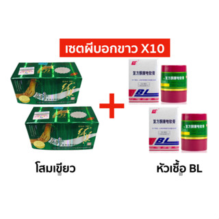 ขาวไว X10 โสมเขียว2 + BL2