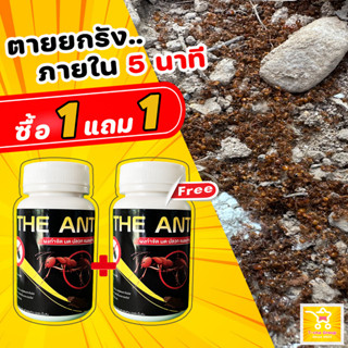 ลูกค้าใหม่ลดเพิ่ม 80.- (โปร 1 แถม 1) ได้ 2 กระปุก The Ant ผงกำจัด มด ปลวก แมลงสาบ สูตรตายยกรัง ภายใน 5 นาที