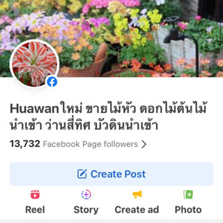 ติดต่อสั่งของในเพจfb ได้เลยคับ มีโปรและสินค้าอัพเดรต