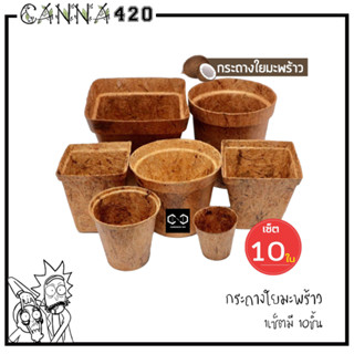 (แพ็ค 10 ชิ้น) กระถางต้นไม้ใยมะพร้าว กระถางใยมะพร้าว กระถาง gallon pot coco pot