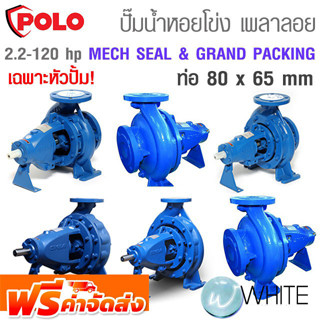 ปั๊มน้ำหอยโข่ง เพลาลอย MECH SEAL &amp; GRAND PACKING ท่อ 80 x 65 mm 2.2 - 120 hp ยี่ห้อ POLO จัดส่งฟรี!!!