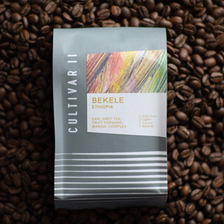 Ethiopia Bekele [Filter] กาแฟคั่วอ่อน