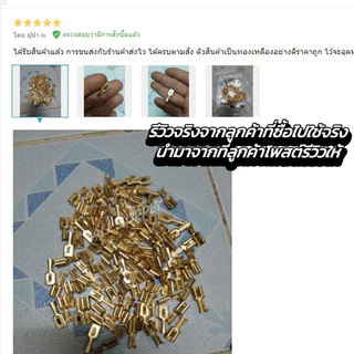 หางปลาทองเหลือง (แท้) #เลือก แบนเมีย / แบนผู้ (จิ๋ว/กลาง) ขนาด 2.8/6.3มิล รุ่นหนา #เลือก10/100ชิ้น หางปลา หางปลาสายไฟ