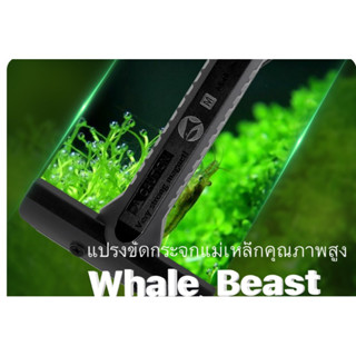 แปรงขัดกระจกแม่เหล็กคุณภาพสูง ยี่ห้อ Whale Beast