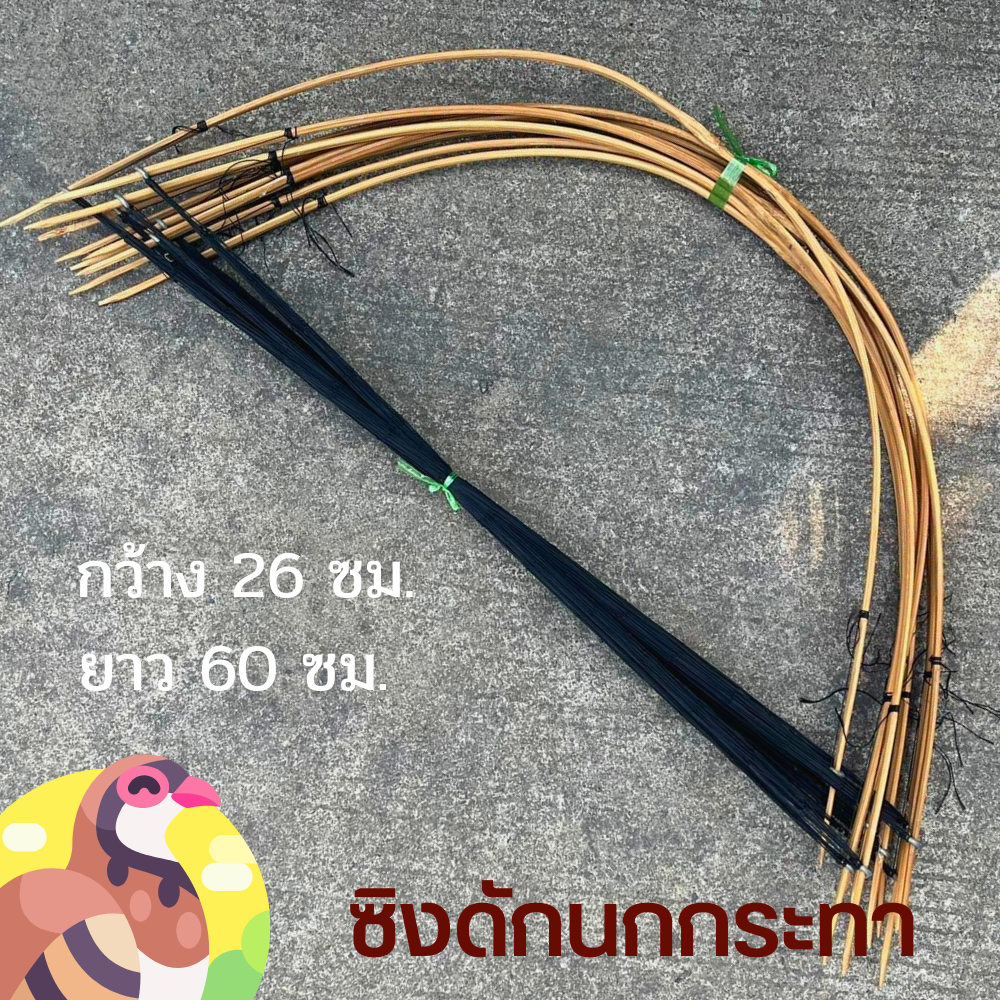 ซิงดักนกกระทา ซิงดักนก ที่ดักนกกระทา ดักนกกระทา ซิงดักนกกวัก ซิงนกกวัก (ซิงใหญ่ดำ)