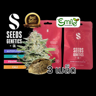 เมล็ดกัญชา Seeds Genetics - Super Lemon Haze (Fem)