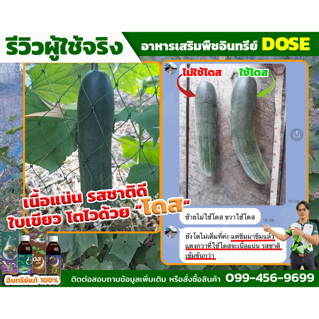 โดสเอ็กซ์ตร้านาโน [โปรส่งฟรี] โดส Dose extra nano ฮอร์โมนพืช  เร่งใบ เร่งต้น  เร่งโตเพิ่มผลผลิต - รูปที่ 6