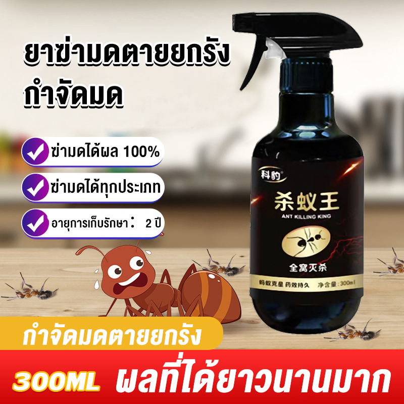 LerThai สเปย์กำจัดมด ตายยกรัง ยากำจัดมดภายในบ้าน กำจัดแมลง  Pest Control