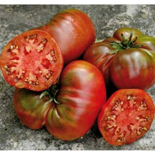 เมล็ดพันธุ์มะเขือเทศเนื้อ แบล็ค ซี แมน (Black Sea Man Tomato Seed) บรรจุ 15 เมล็ด ของแท้ คุณภาพดี ราคาถูก นำเข้าจากต่าง