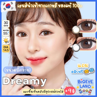 คอนแทคเลนส์ Dreamy Brown / Gray (Kitty Kawaii) ขนาดบิ๊กอาย 🌷