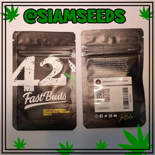 เมล็ดกัญชา Fastbuds Strawberry Pie Auto Cannabis Seeds (Pack of 3)