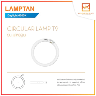 LAMPTAN หลอดนีออนกลม Circular Fluorescent 32W แสงขาว