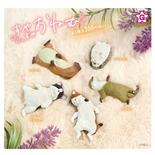 🅟🅕 กาชาปองสัตว์ต่างๆหลับปุ๋ย 💤💤🦔🐈🐕🦦💤 Sleepy sleep animals gashapon