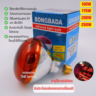 หลอดไฟอินฟาเรดกกไก่ กกหมู กกสัตว์เลี้ยง Bangbada E27 220V