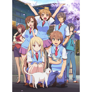 ดีวีดี Sakurasou no Pet na Kanojo ซากุระโซว หอพักสร้างฝัน (พากย์ไทย)