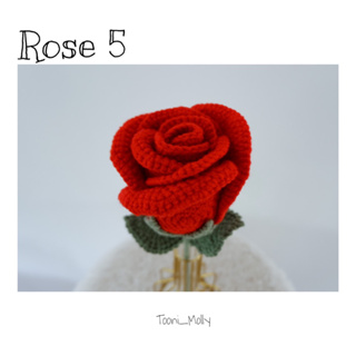 ดอกกุหลาบ 5 (Rose 5)