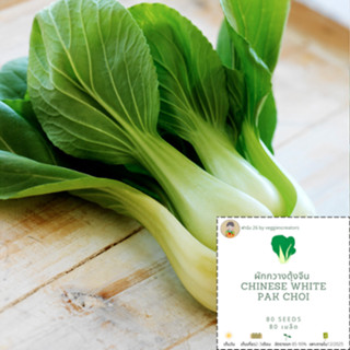 เมล็ดผักกวางตุ้งจีน (White Chinese Pak Choi) ฟาร์ม26 อัตรางอก85-90% เมล็ดพันธุ์ผัก