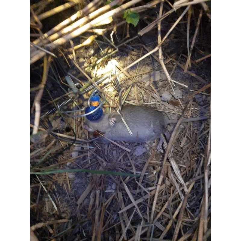 รูปภาพ 6