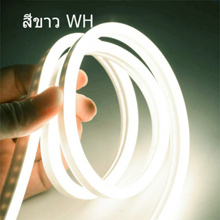 ไฟเส้นนีออนเฟล็กซ์ ไฟLED Neon Flexible Light 220V ไฟ ดัดงอได้ สามารถเสียบกับไฟบ้านได้เลย 8*16MM กันน้ำทนทาน