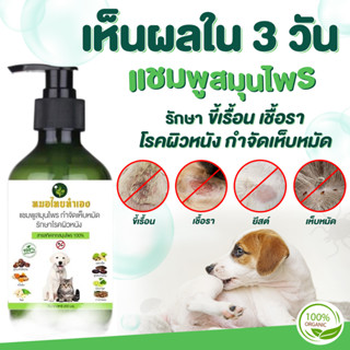 แชมพูดูแลผิวที่เป็นเชื้อราสุนัขแมวยีสต์ไร ขนาด 200 ml คันเกาหายเกลี้ยง