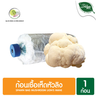 ก้อนเชื้อเห็ดหัวลิง 1 ก้อน Spawn Bag Mushroom Lions Mane