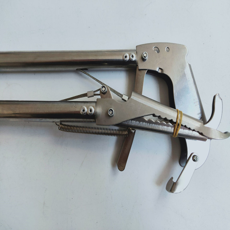 รูปภาพ 4